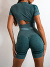 Elevate Seamless High Waist Shorts and Top 2 Piece Set