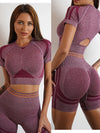 Elevate Seamless High Waist Shorts and Top 2 Piece Set