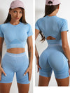 Elevate Seamless High Waist Shorts and Top 2 Piece Set