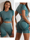 Elevate Seamless High Waist Shorts and Top 2 Piece Set