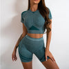 Elevate Seamless High Waist Shorts and Top 2 Piece Set