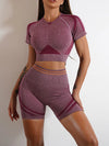 Elevate Seamless High Waist Shorts and Top 2 Piece Set