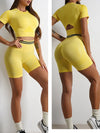 Elevate Seamless High Waist Shorts and Top 2 Piece Set