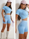 Elevate Seamless High Waist Shorts and Top 2 Piece Set