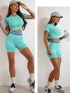 Elevate Seamless High Waist Shorts and Top 2 Piece Set