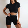 Elevate Seamless High Waist Shorts and Top 2 Piece Set