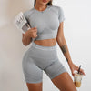 Elevate Seamless High Waist Shorts and Top 2 Piece Set